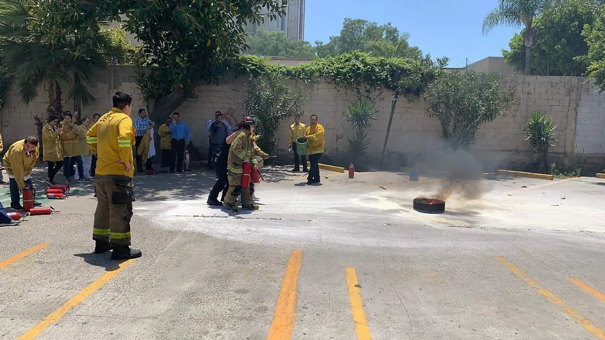 WhatsApp Image 2019-06-27 at 11.35.37 AM (1)