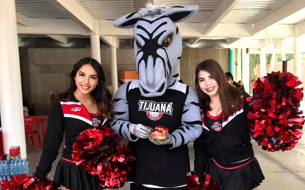 zonkeys