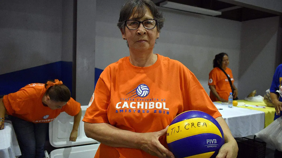 cachibolcolor