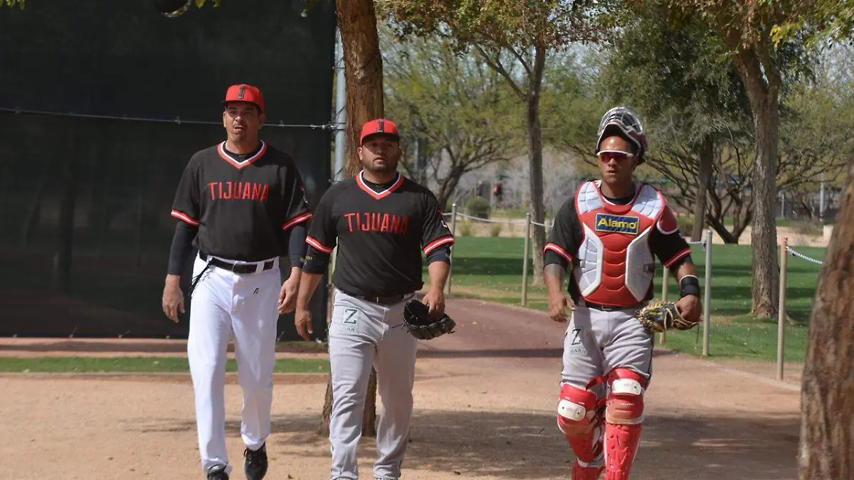 WhatsApp Image 2019-01-15 at 17.00.49 (1)