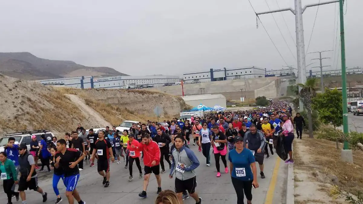 Serial Delegacional 2019