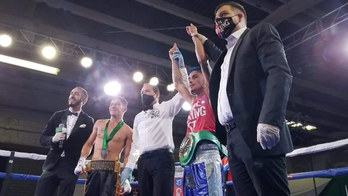 Boxeo