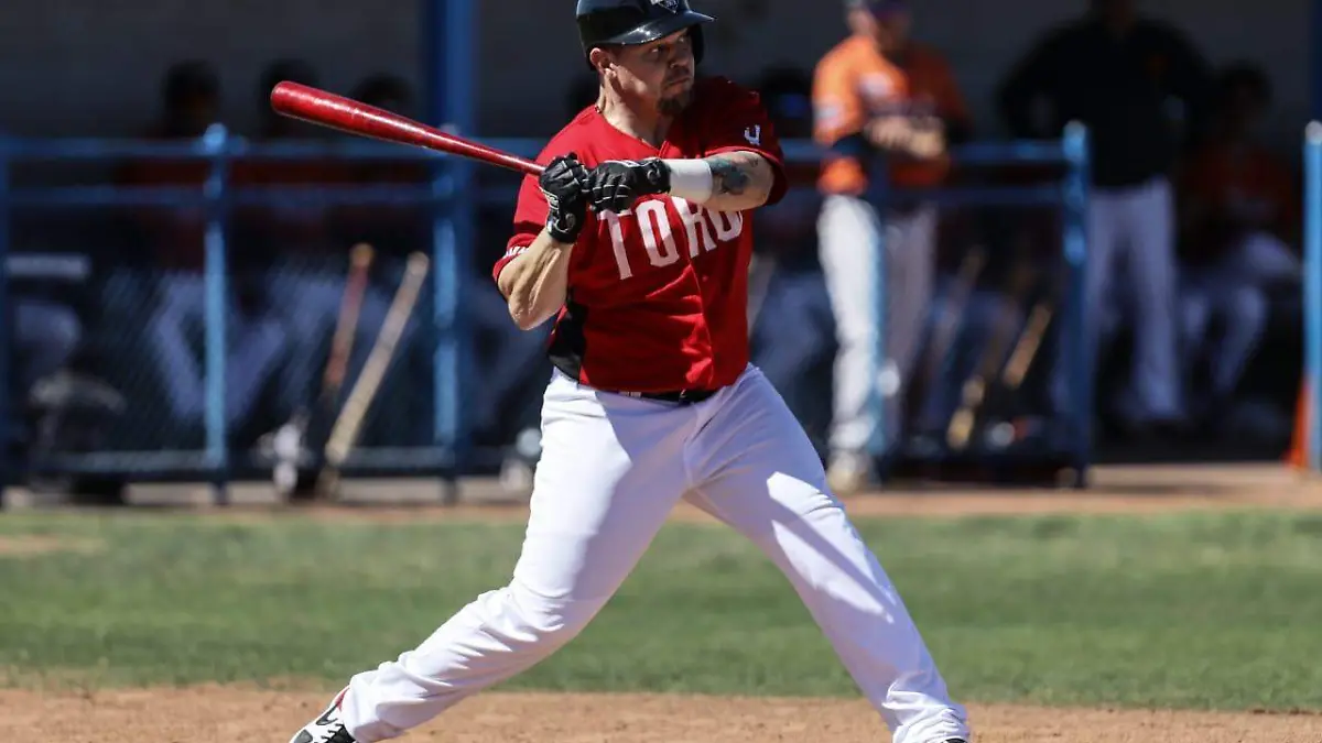 Toros