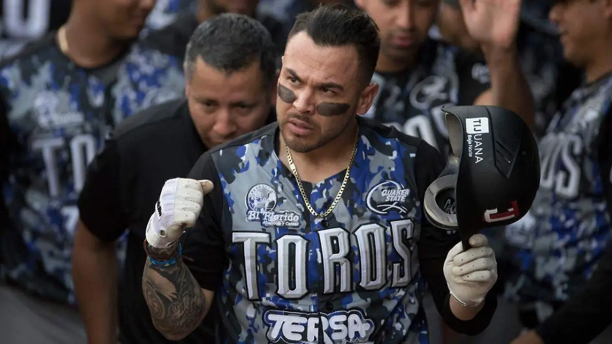 ae8ce442-11f3-431e-b8d2-86251310bb3b