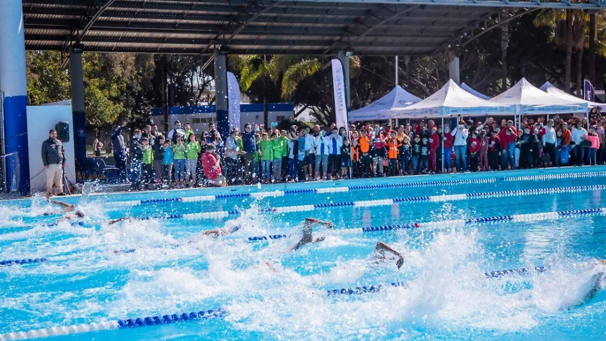 WhatsApp Image 2019-03-16 at 3.36.18 PM