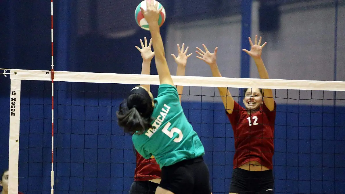 Volei1