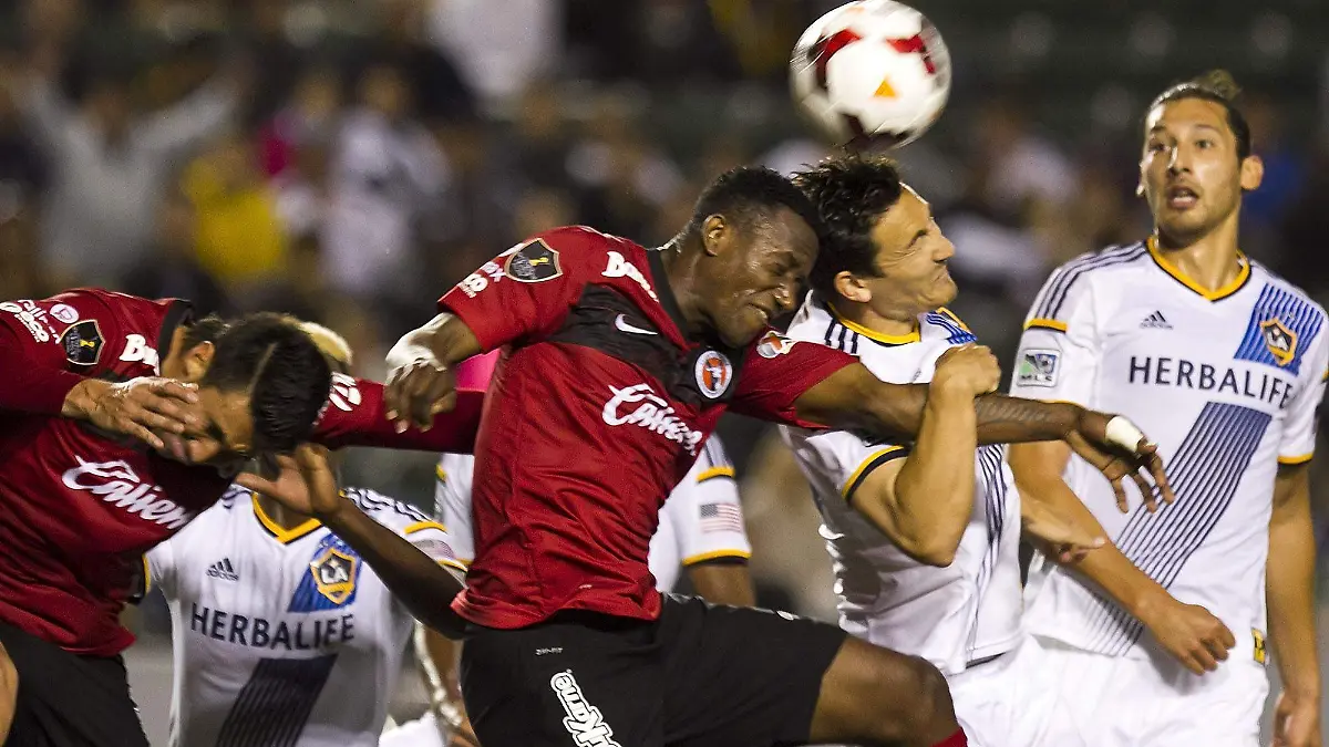 Xolos
