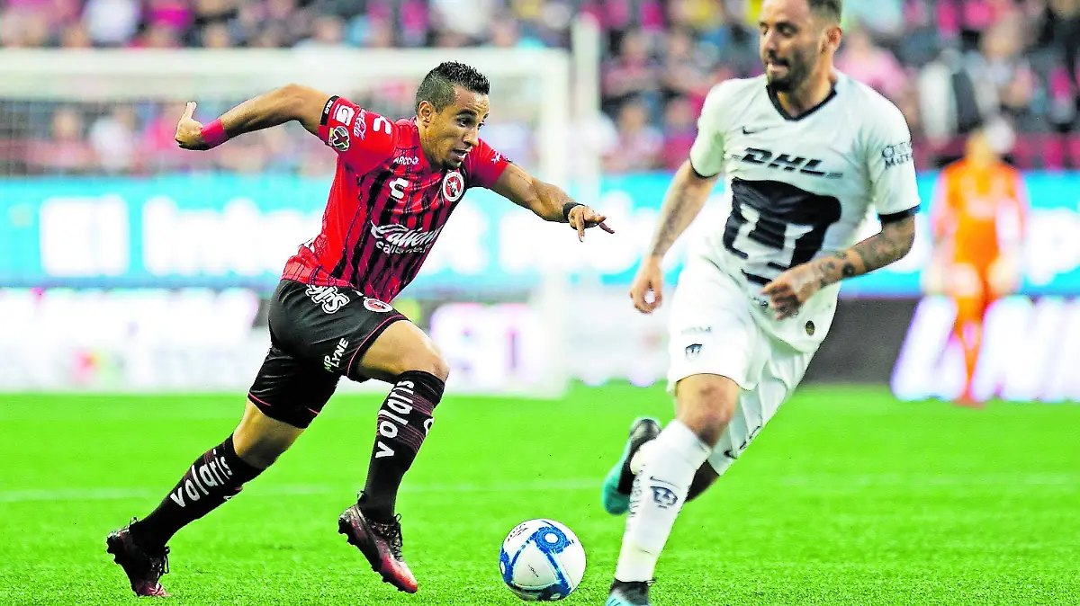 Xolos_CMYK
