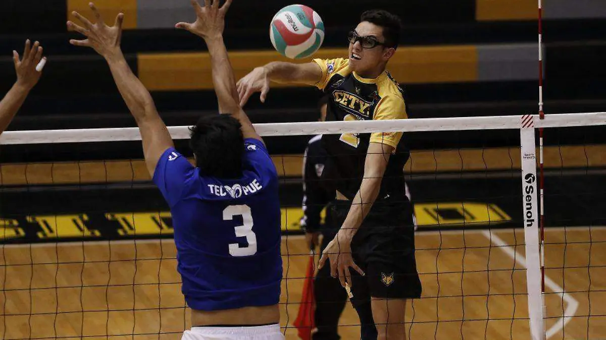 Voleibol