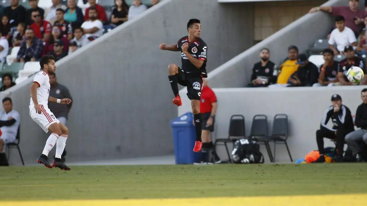 Xolos