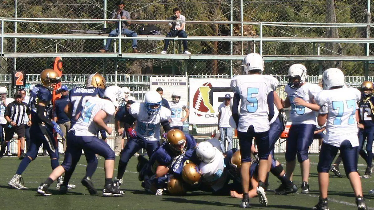 OEFA