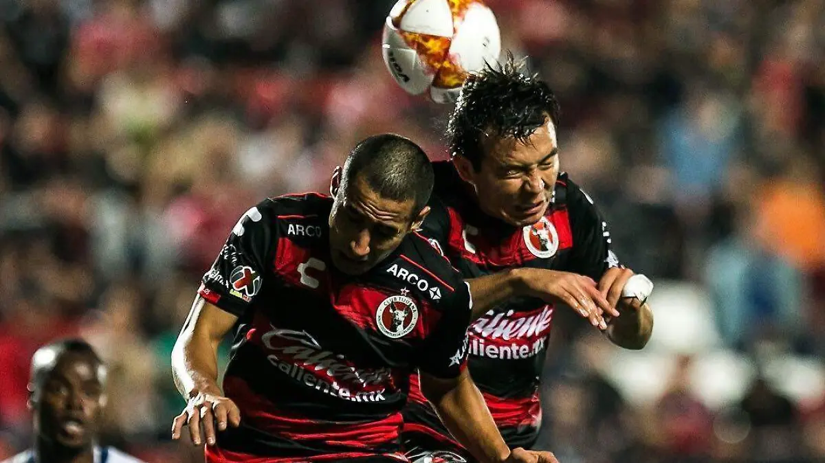 Xolos