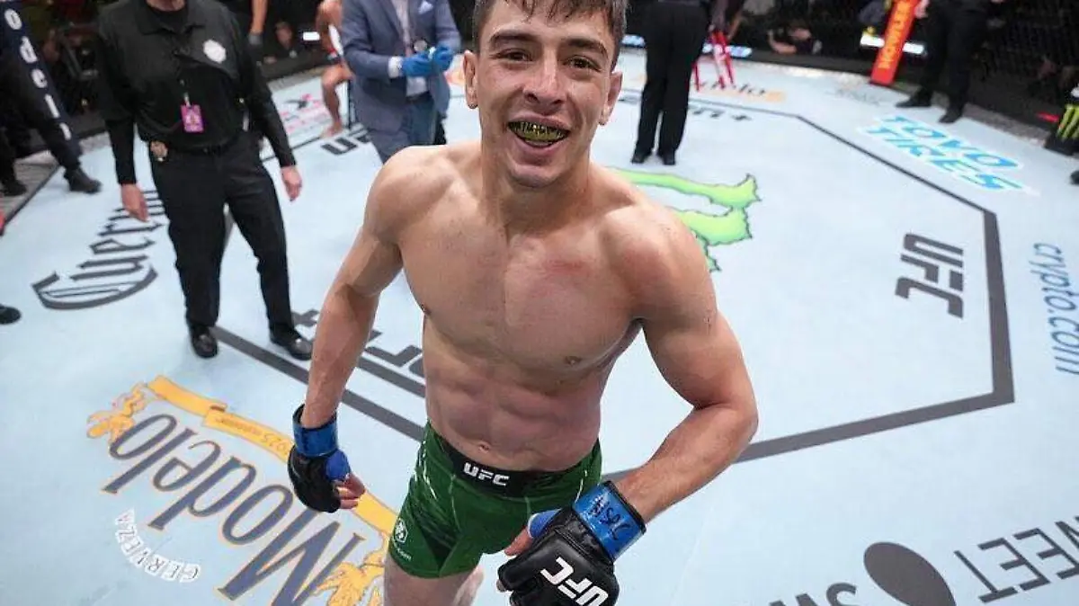 UFC-Pelea