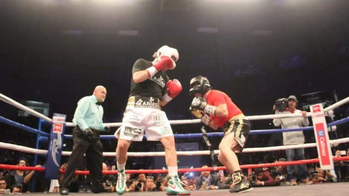 Boxeo