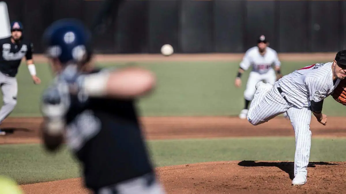 803c42e4-3e2a-454e-b931-b7a13df60098