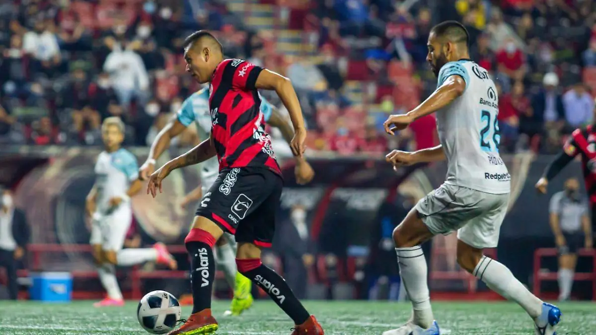 Xolos