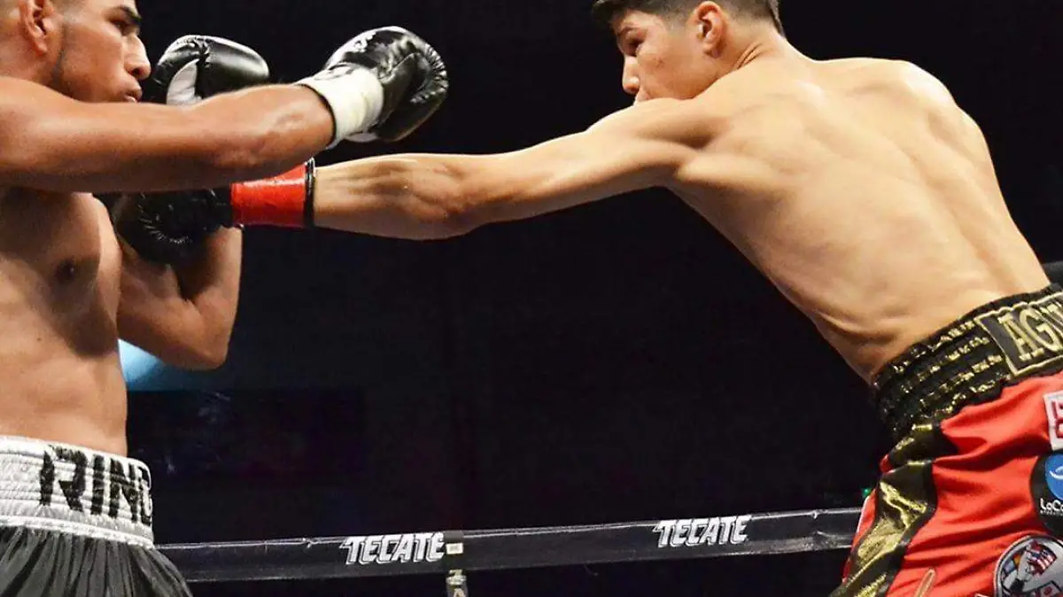 Boxeo