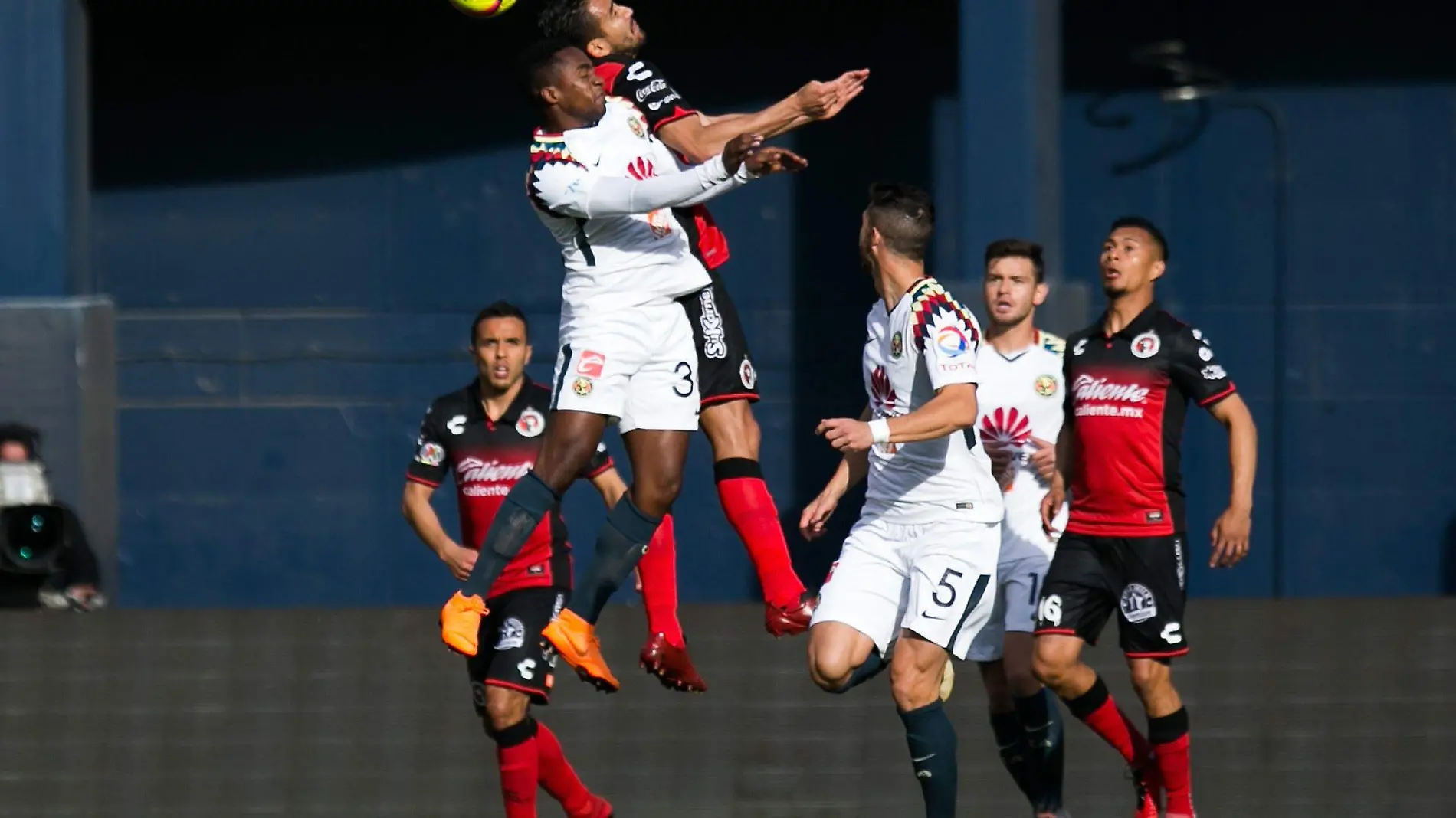 xolos1