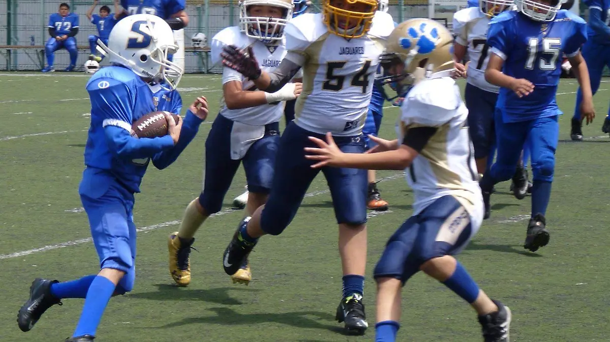 categoria1