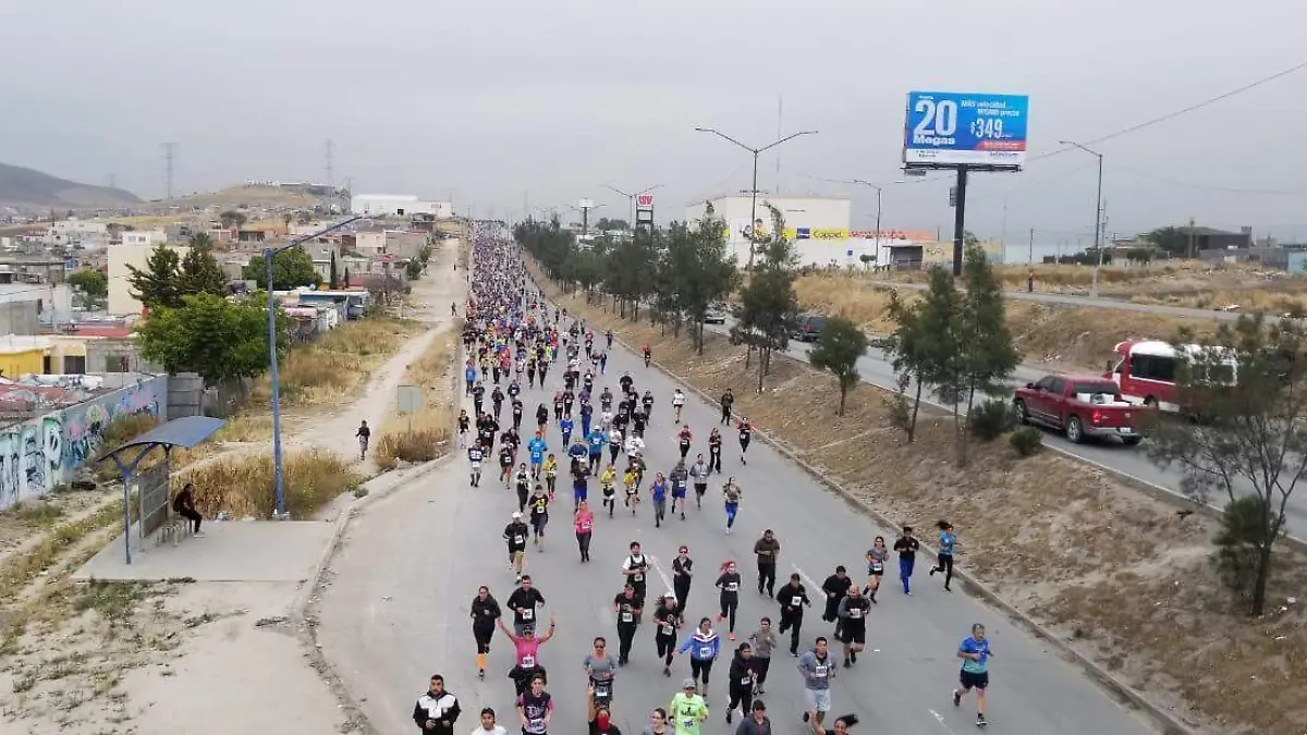 Serial Delegacional 2019