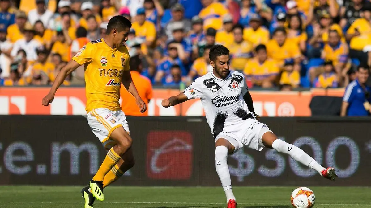 WhatsApp Image 2018-07-30 at 3.06.16 PM (1)