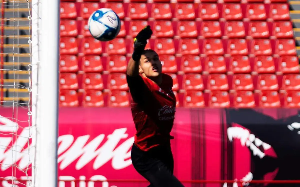 Xolos