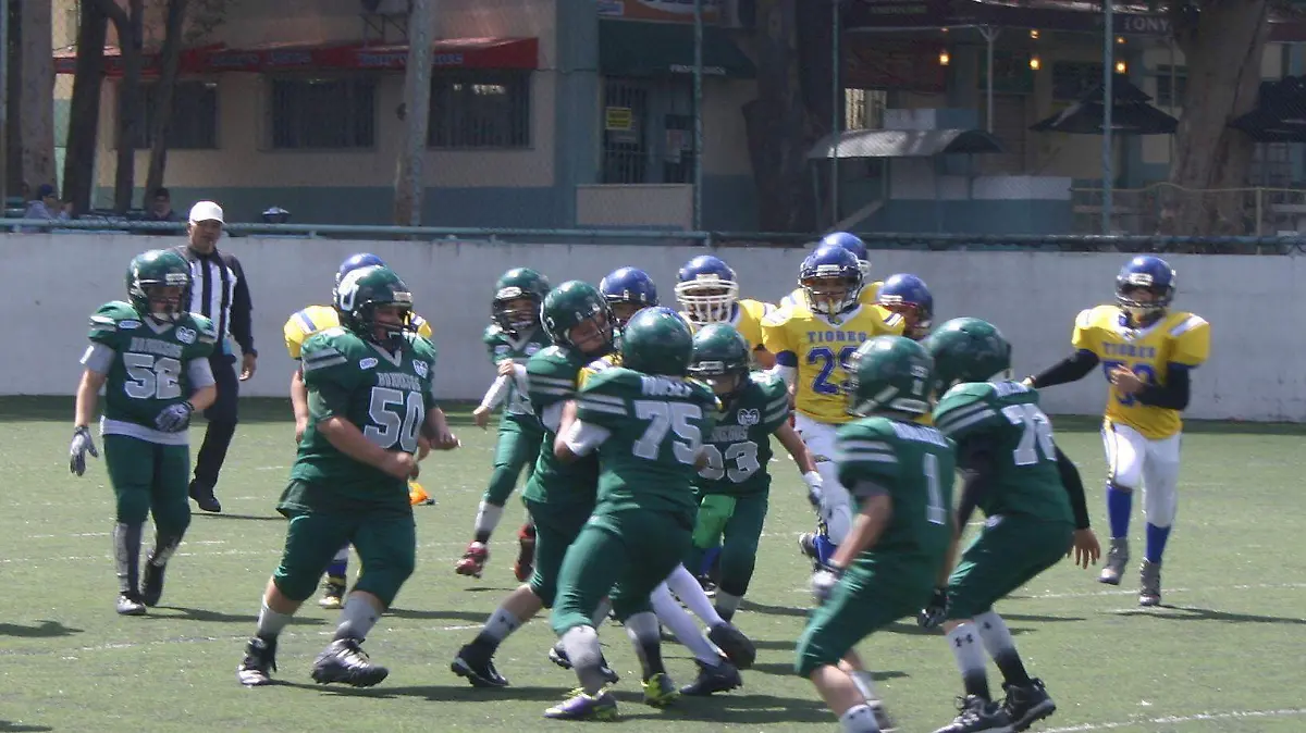 OEFA1
