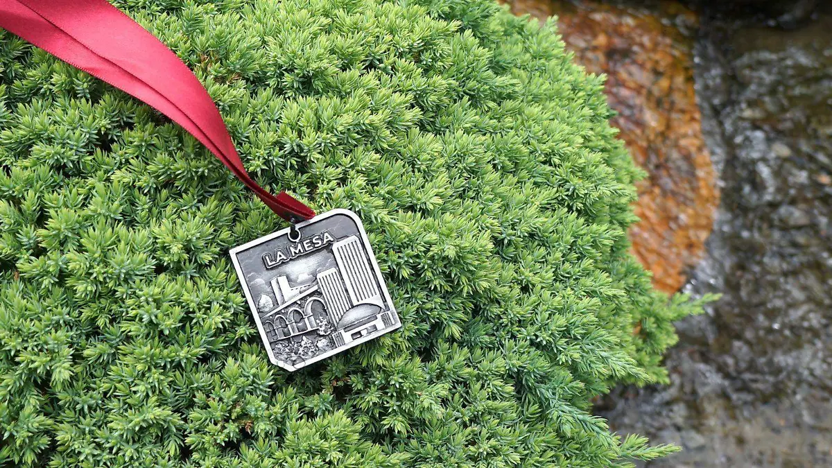 Imdet-Medallas