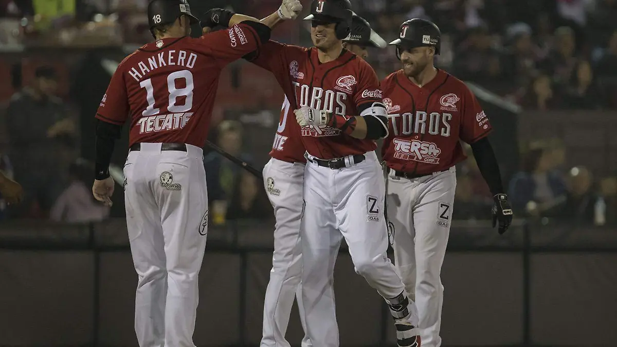 toros