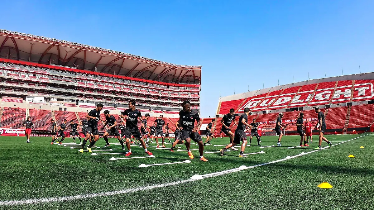 Xolos