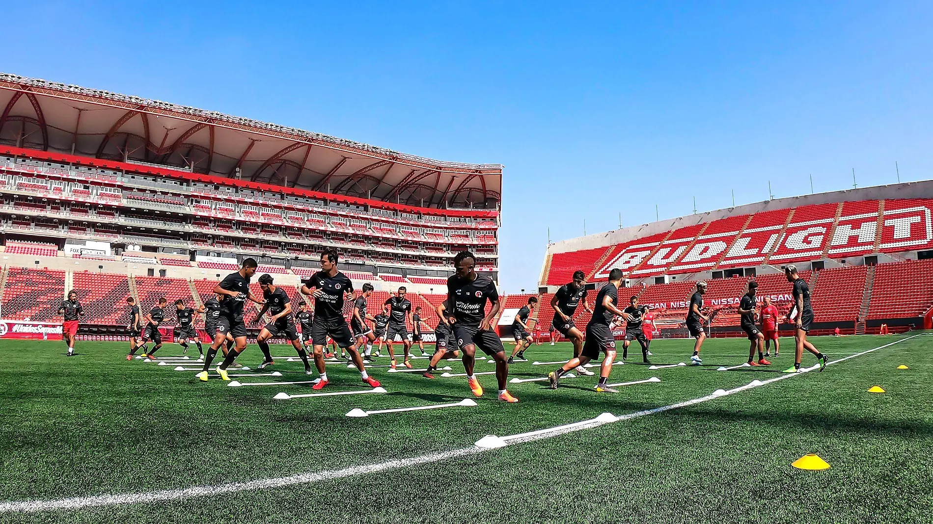 Xolos