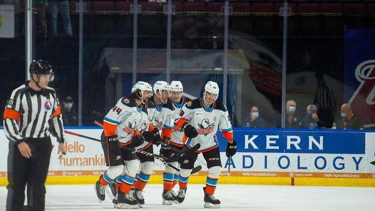 San-Diego-Gulls