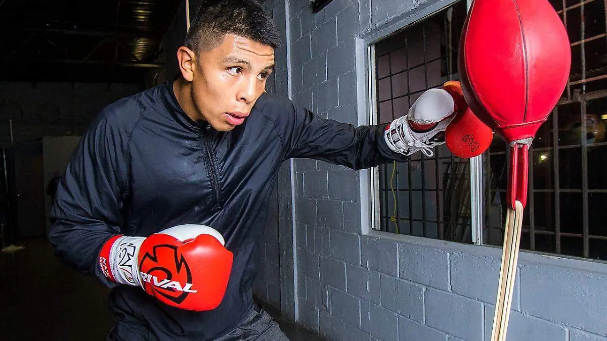 WhatsApp Image 2019-01-17 at 11.18.48 AM