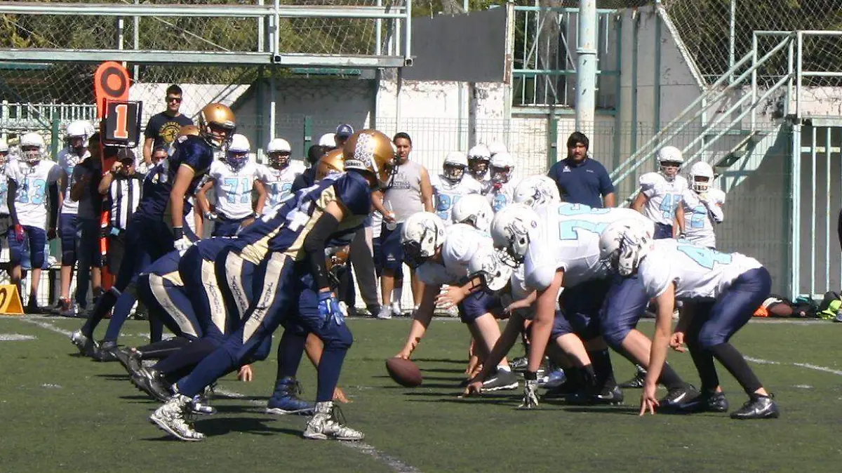 OEFA