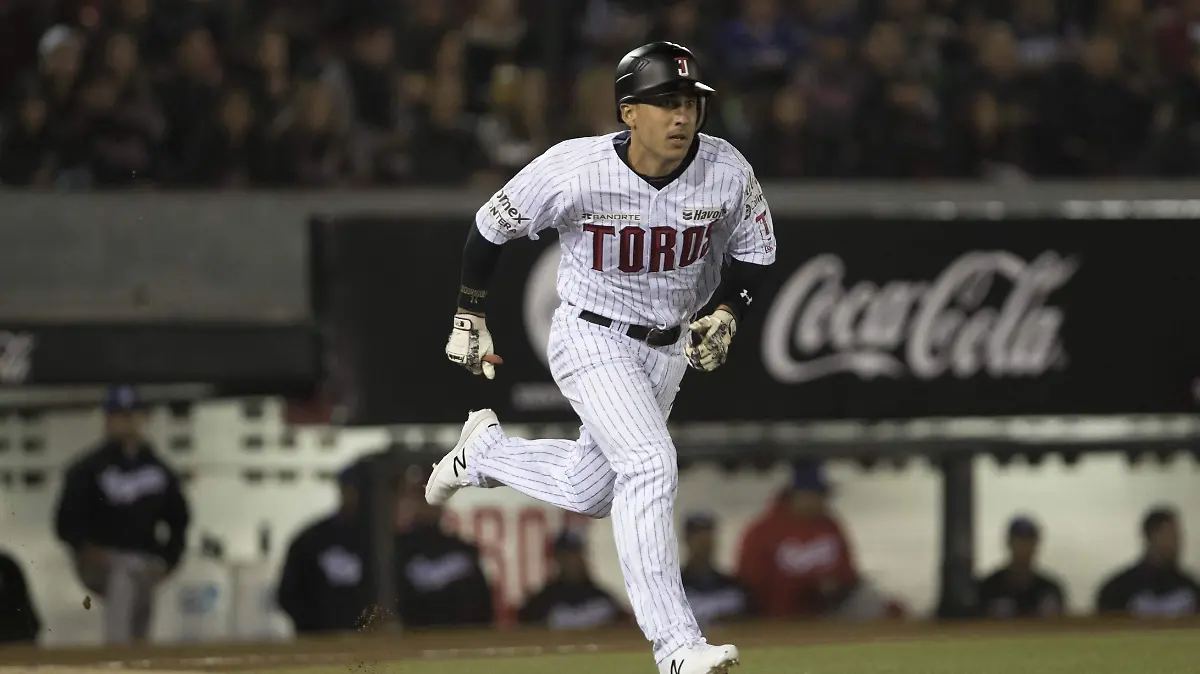 Toros1