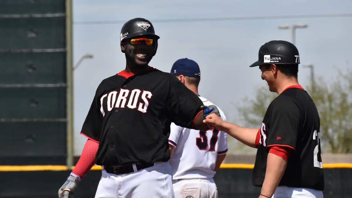 Toros1WEB