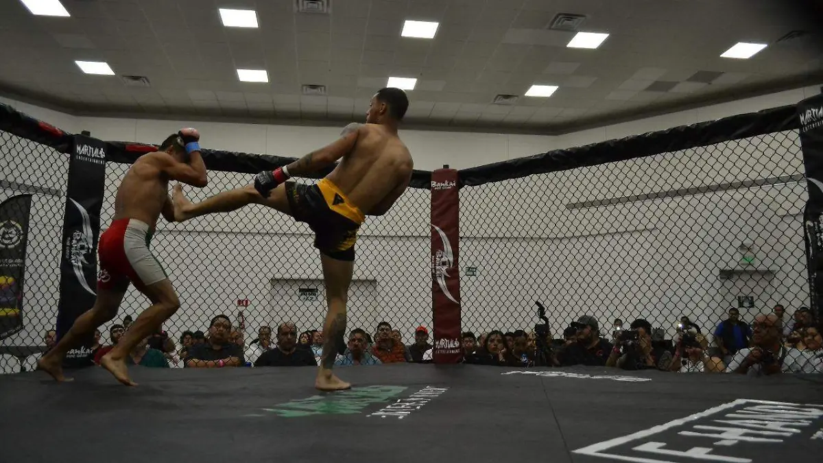 Artes marciales