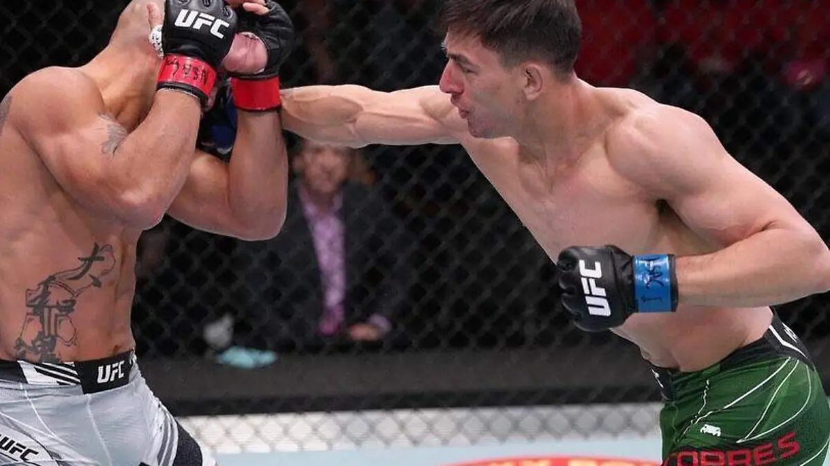 UFC-Pelea