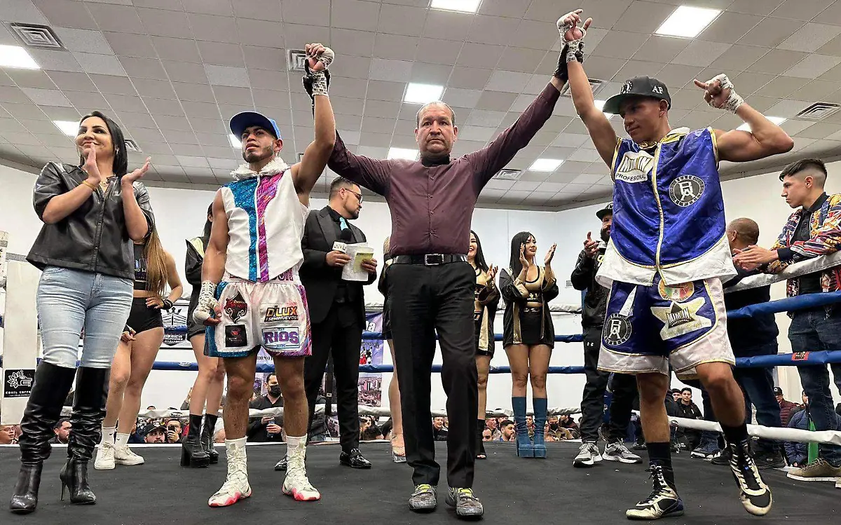 WhatsApp Image 2023-02-19 at 12.29.03 PM