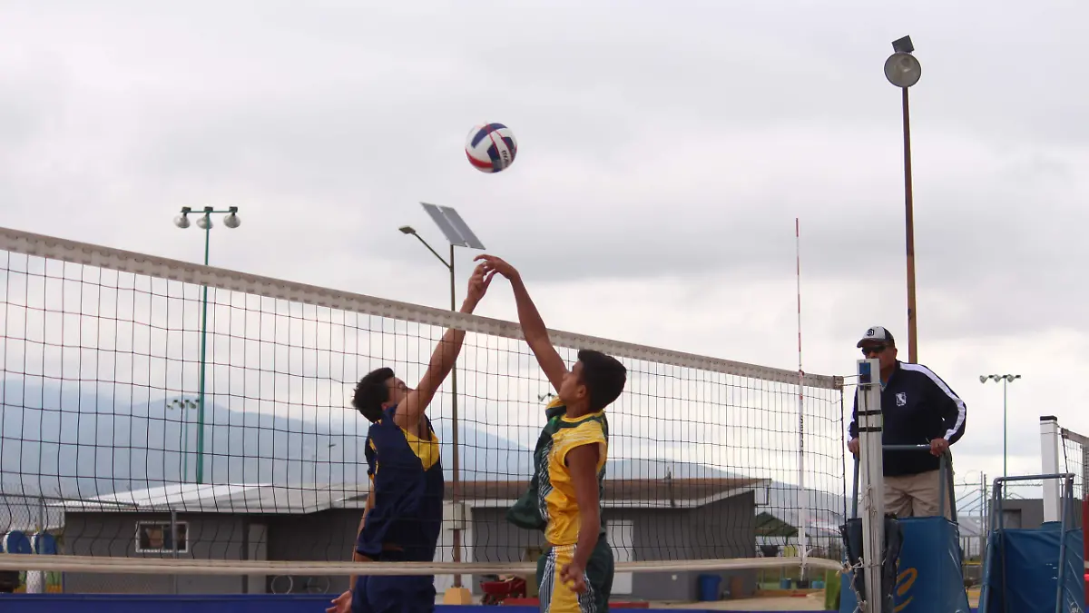 Voleibol