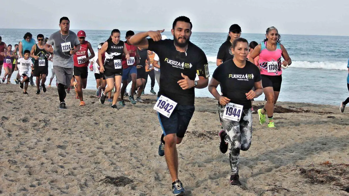 Serial Delegacional Tijuana 2019