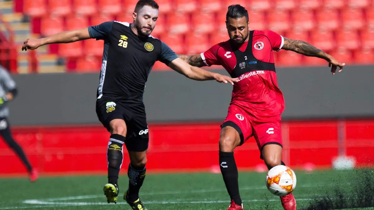 Xolos1