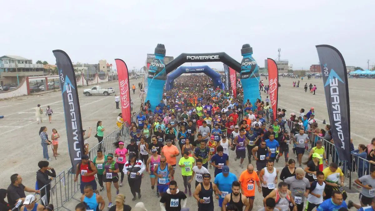 Serial Delegacional Tijuana 2019