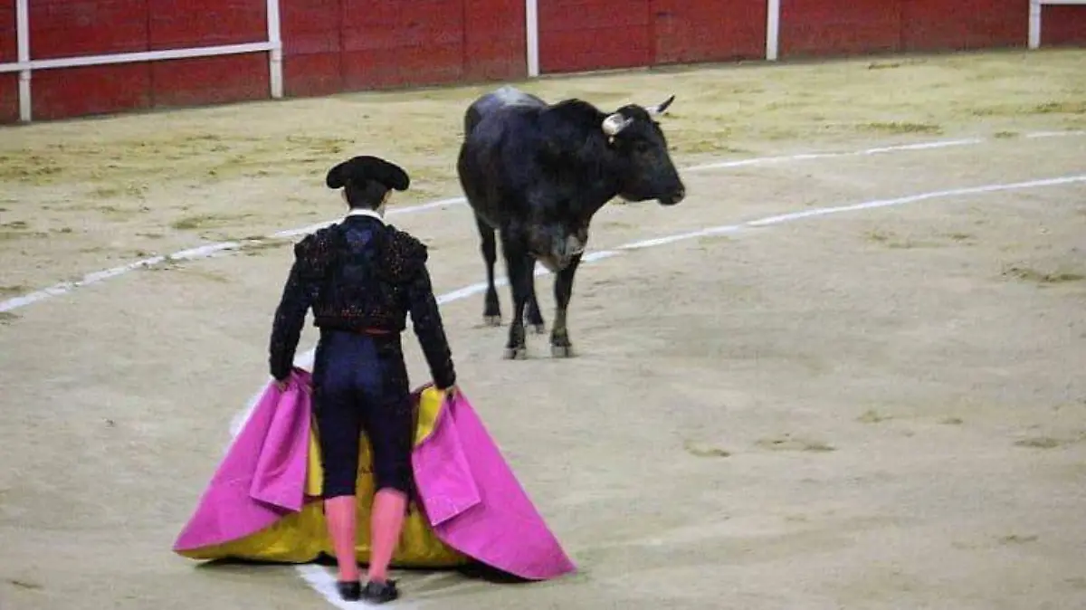 Toros