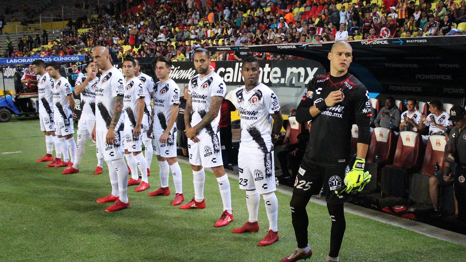 Xolos1