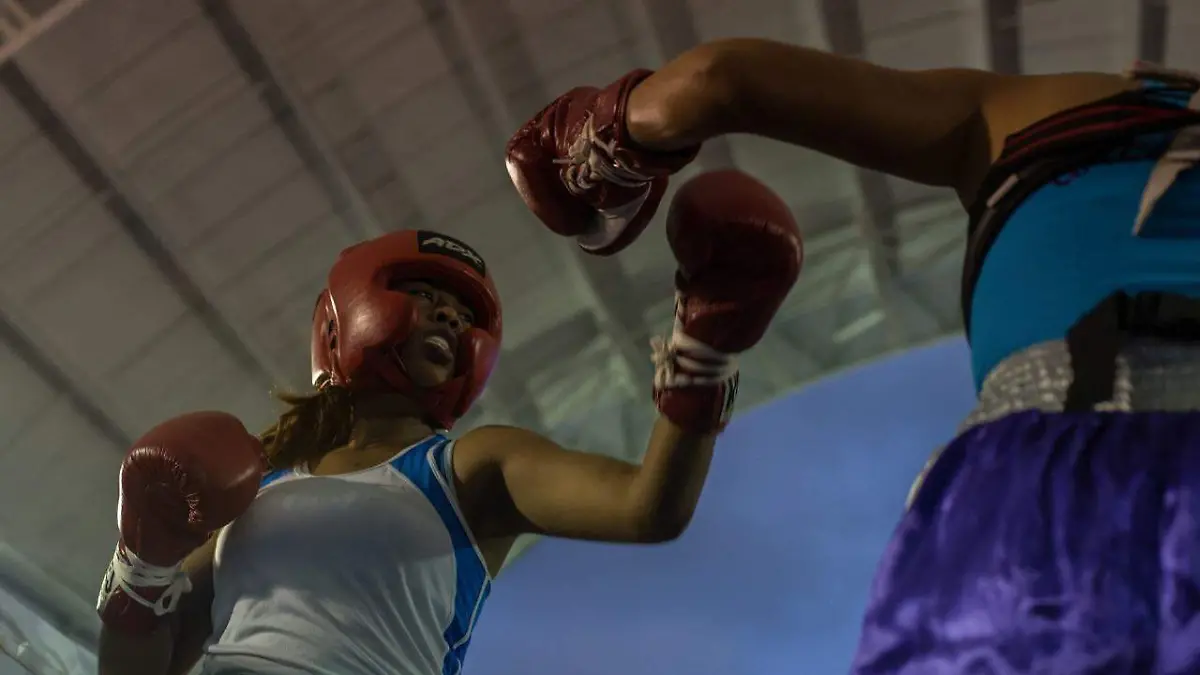 Boxeo