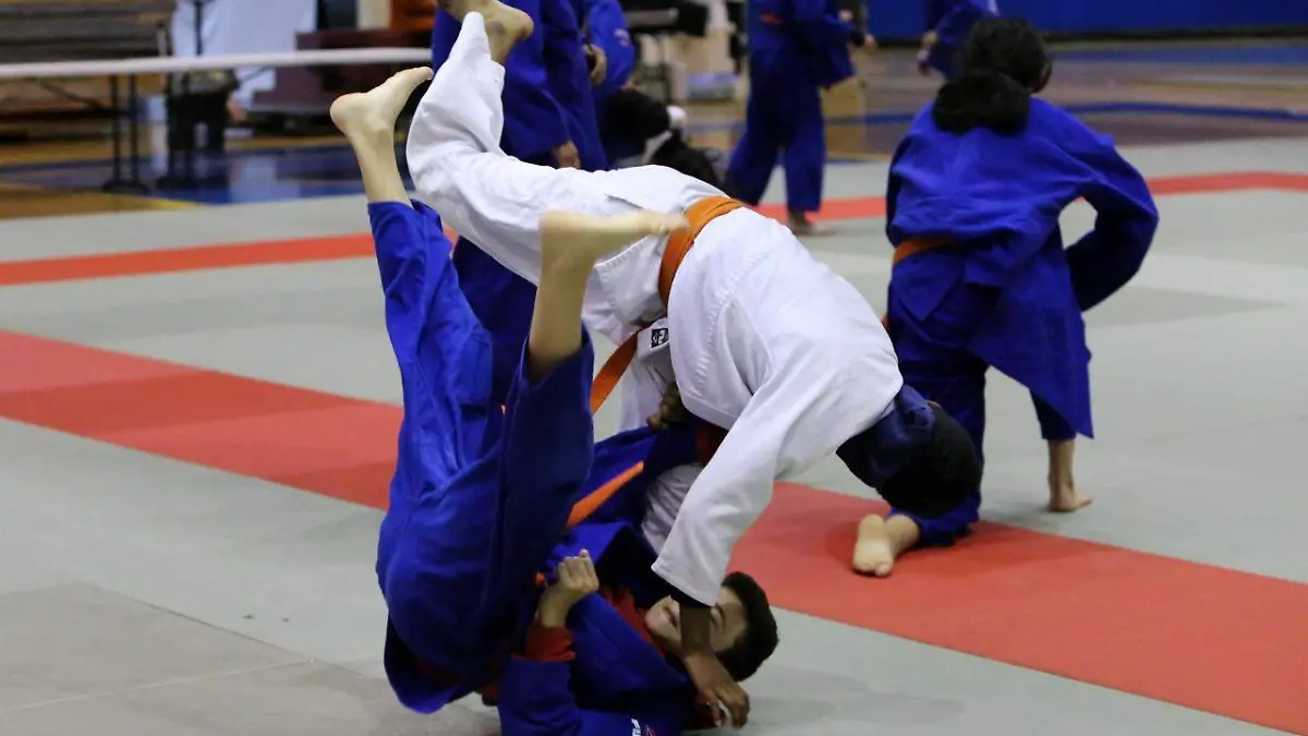 Judo