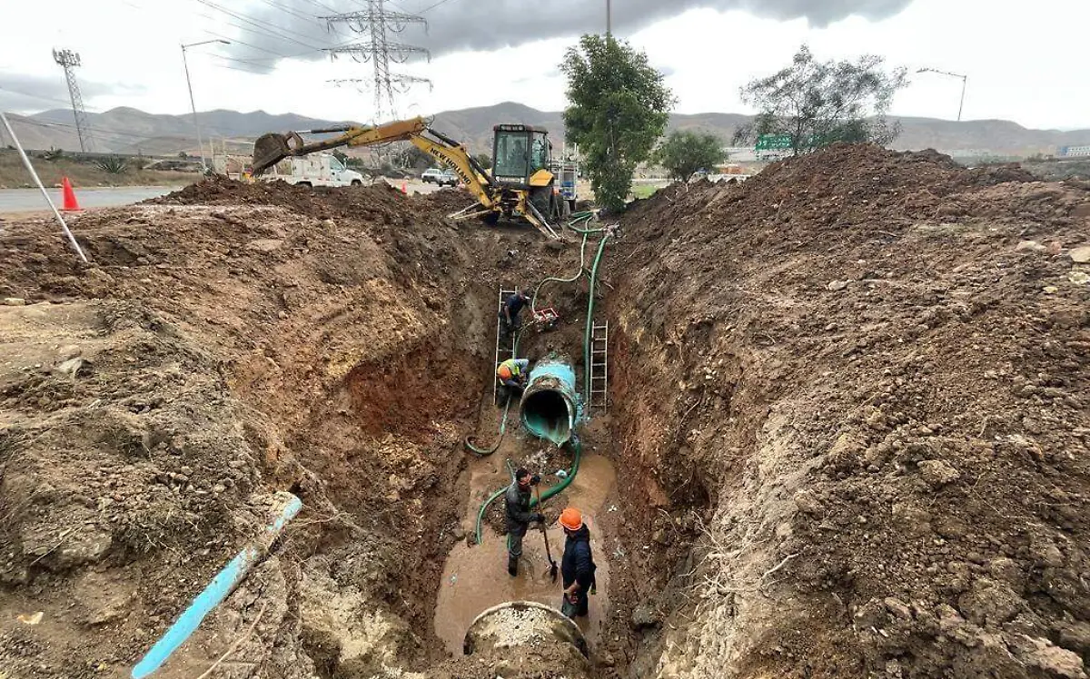 WhatsApp Image 2023-10-23 at 11.58.31