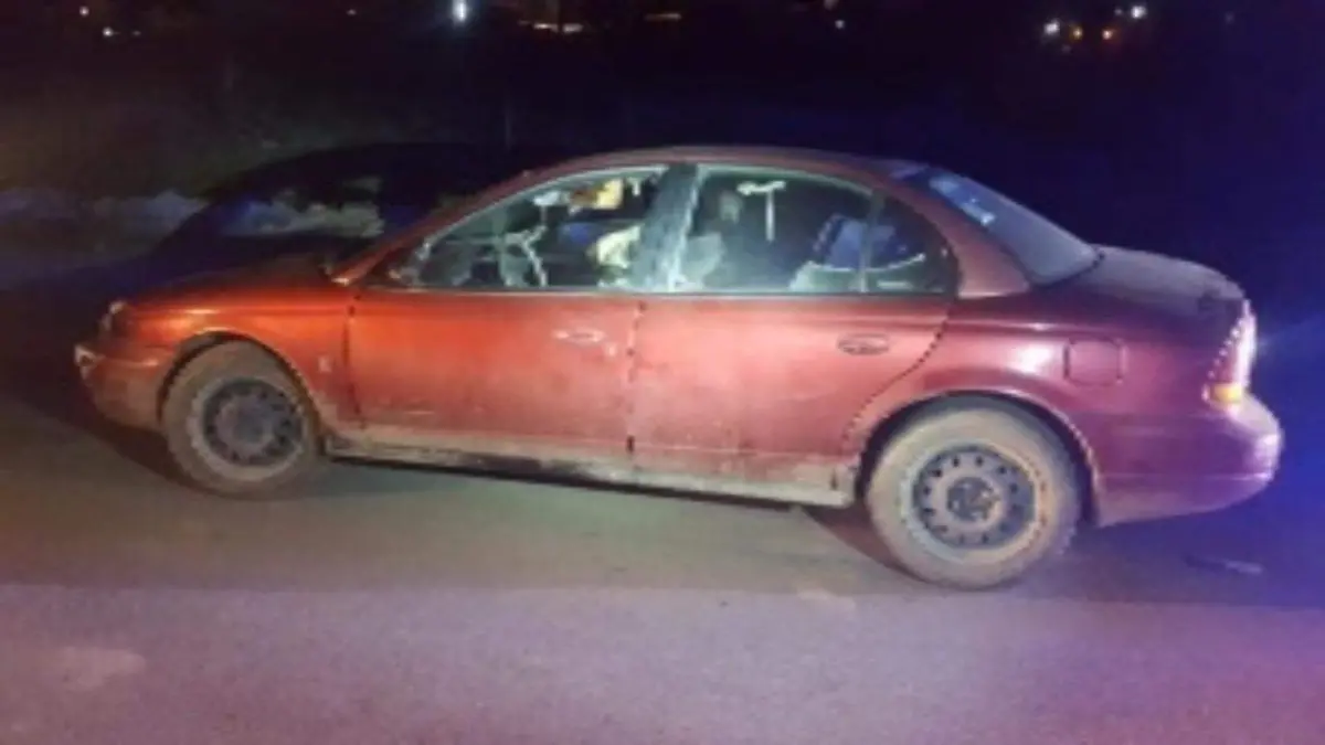 Image 2019-01-09 at 5.21.09 PM (1)