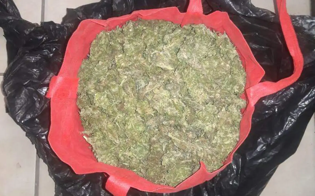 6d72c96f-967b-41de-afdc-b66292f4ec74